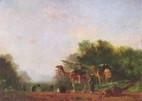 العرب 