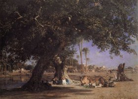  منظر شبرا
