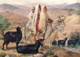 أطفال يلعبون على حمار، الجزائر 1941 أطفال يلعبون على حمار، الجزائر 1941